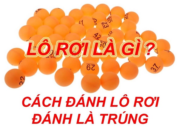 Lô rơi và cách bắt lô rơi miền bắc chính xác